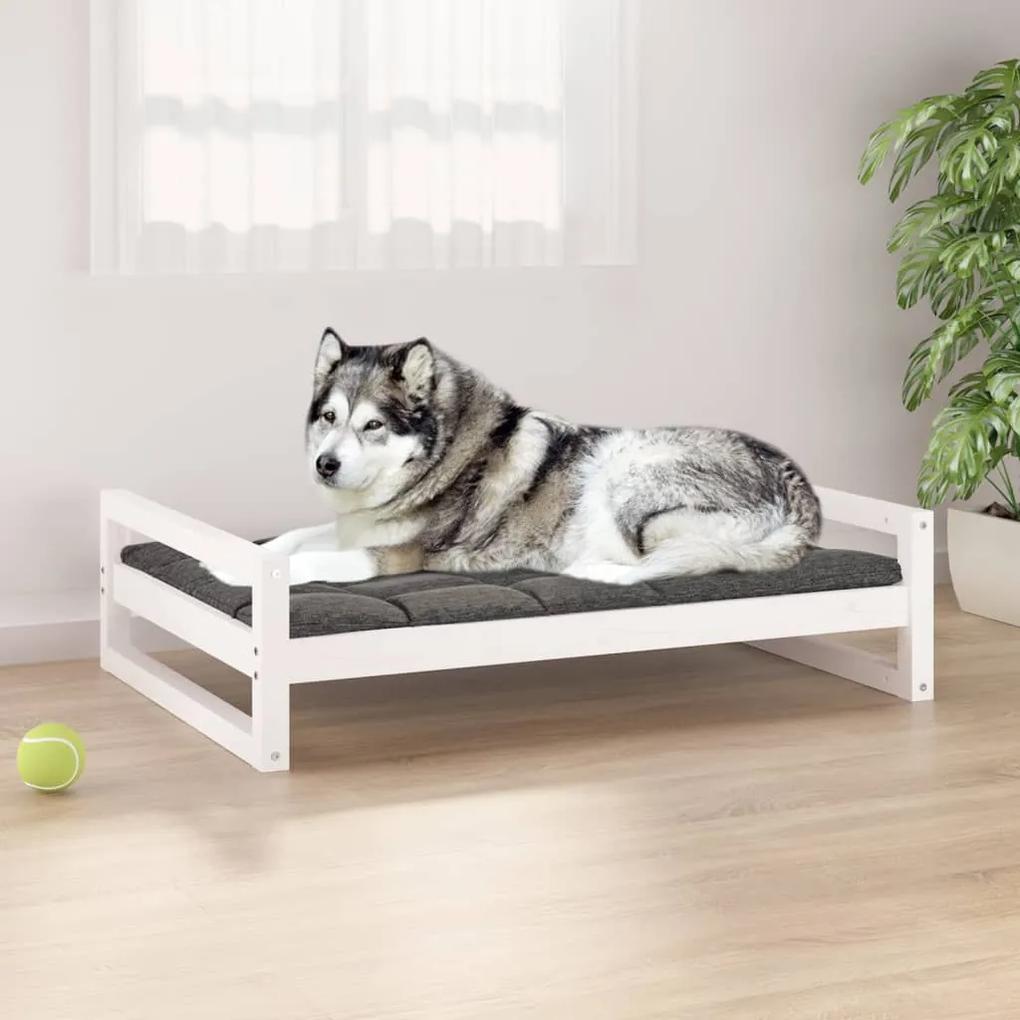 Κρεβάτι Σκύλου άσπρο 105,5x75,5x28 εκ. από Μασίφ Ξύλο Πεύκου