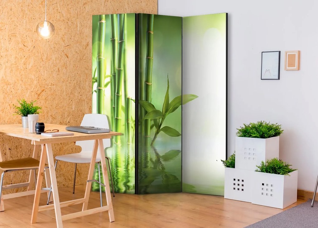 Διαχωριστικό με 3 τμήματα - Green Bamboo [Room Dividers] 135x172