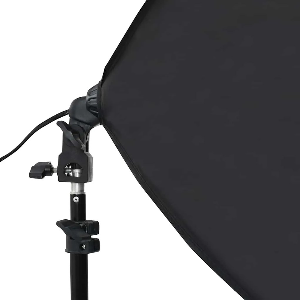 vidaXL Φωτιστικά Studio Επαγγελματικά 2 τεμ. Μαύρα 40x60 εκ. Ατσάλινα
