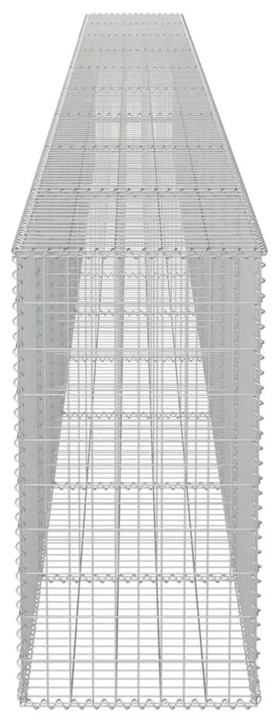 vidaXL Συρματοκιβώτιο Τοίχος 900x50x100 εκ. Γαλβαν.Χάλυβας + Καλύμματα