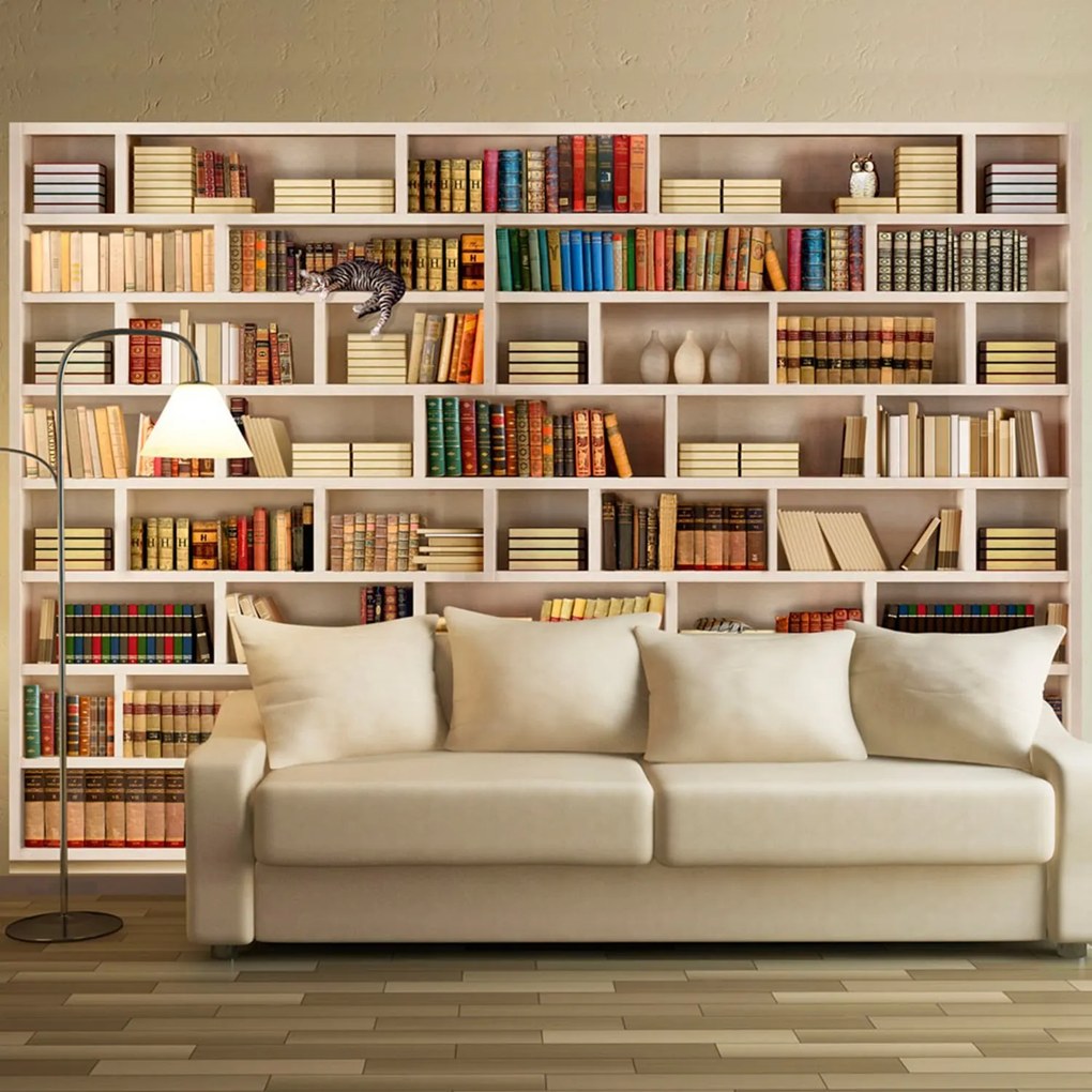 Φωτοταπετσαρία - Home library 100x70