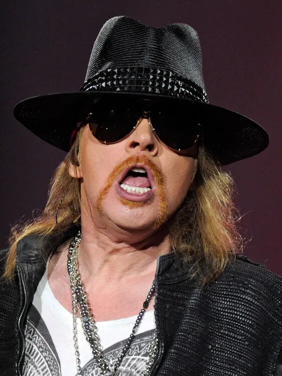 Φωτογραφία Guns N' Roses And Sebastian Bach, Ethan Miller