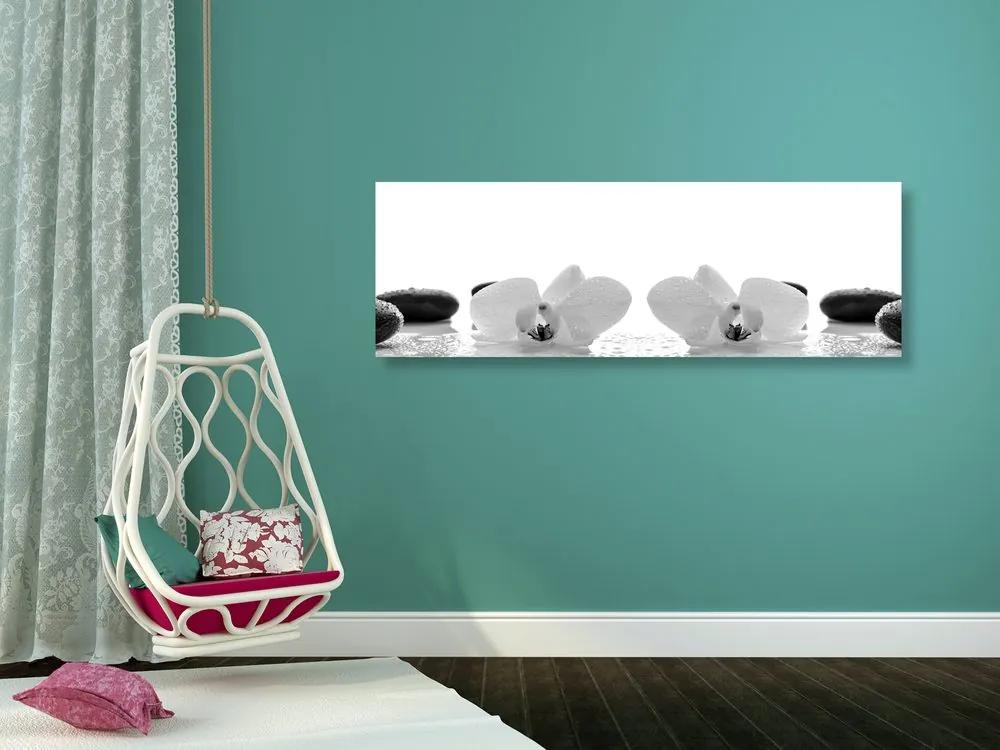 Εικόνα λουλουδιών ορχιδέας σε ασπρόμαυρο σχέδιο - 150x50