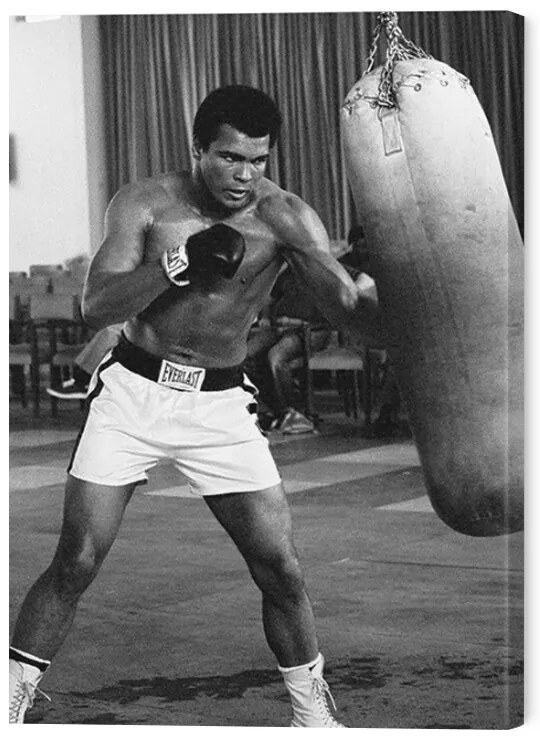 Εκτύπωση καμβά Muhammad Ali - Punch Bag