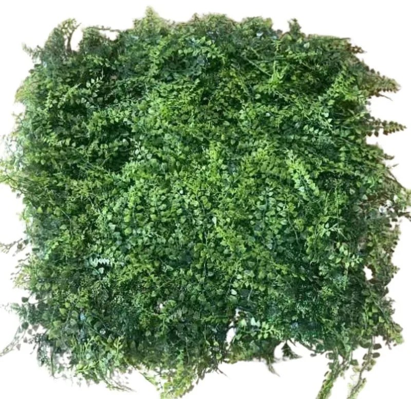 Supergreens Τεχνητή Φυλλωσιά Φτέρη Πράσινη 50x50 εκ