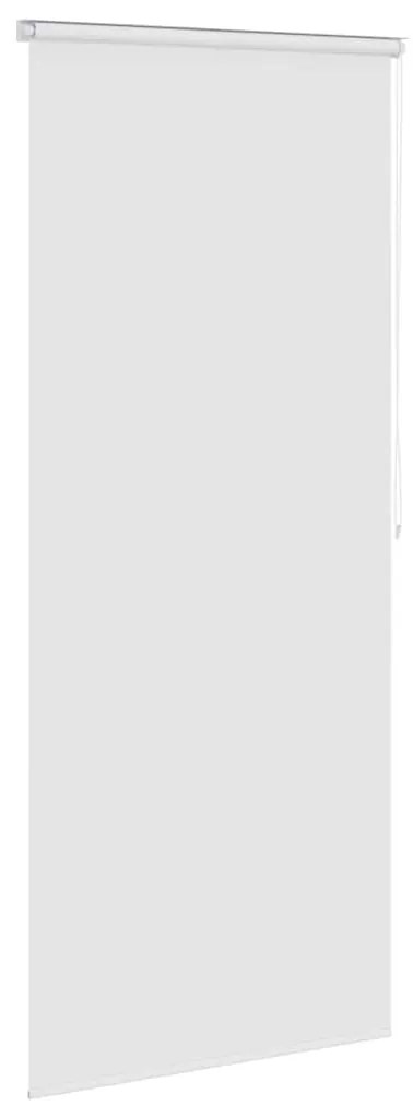 vidaXL Κουρτίνα Μπάνιου Ρολό Λευκή 100 x 240 εκ.