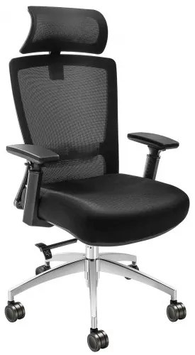 VEVOR Ergonomic Office Chair with Slide Seat, Desk Chair with Mesh Seat, Angle and Height Adjustable Home Office Chair with Back and Lumbar Support, Swivel Computer Task Chair
