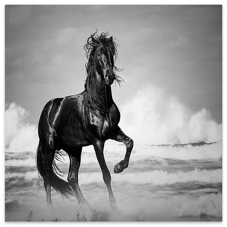 Πίνακας σε καμβά "Black Horse" Megapap ψηφιακής εκτύπωσης 60x60x3εκ.