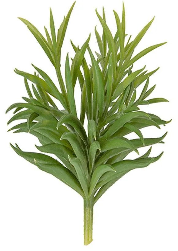 Τεχνητό Φυτό Succelent PT3650 58.4x54.2cm Green Present Time Plastic