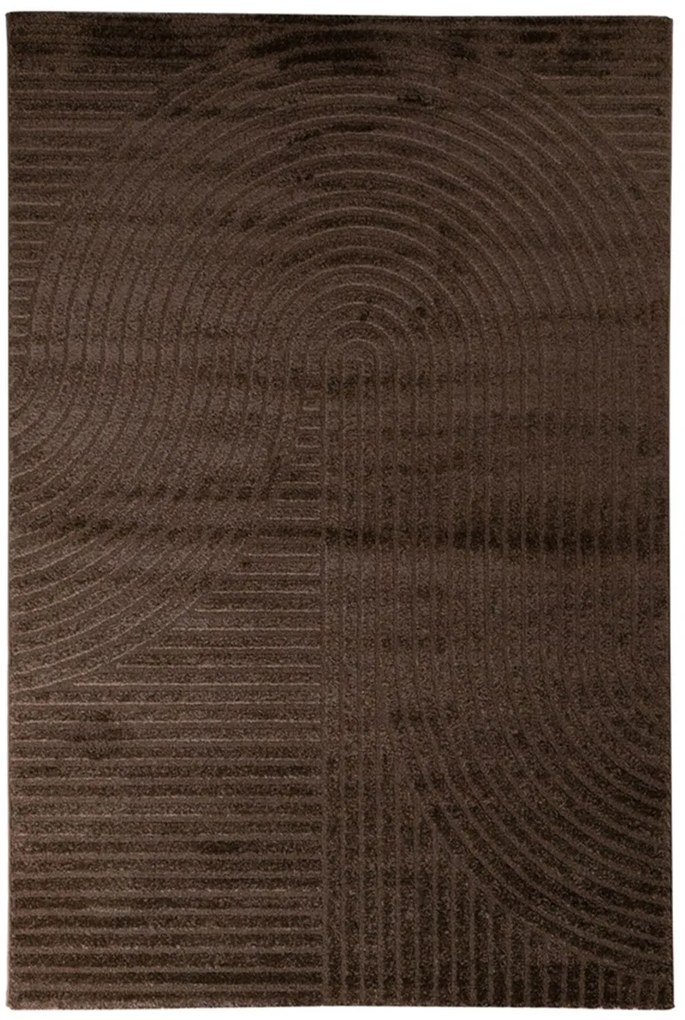 Χαλί Elio 02251-580 Brown Merinos 200X290cm