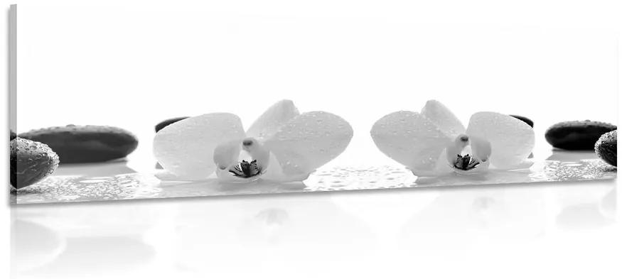 Εικόνα λουλουδιών ορχιδέας σε ασπρόμαυρο σχέδιο - 120x40