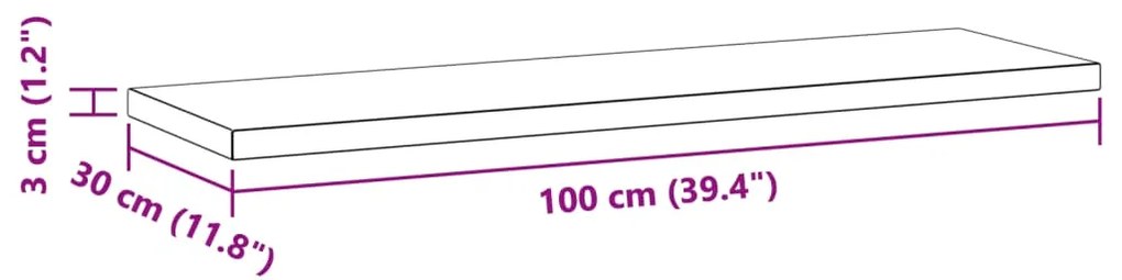 Ράφια Τοίχου 2 τεμ. Μαύρο 100x30x3 εκ. Ανοξείδωτο Ατσάλι - Μαύρο