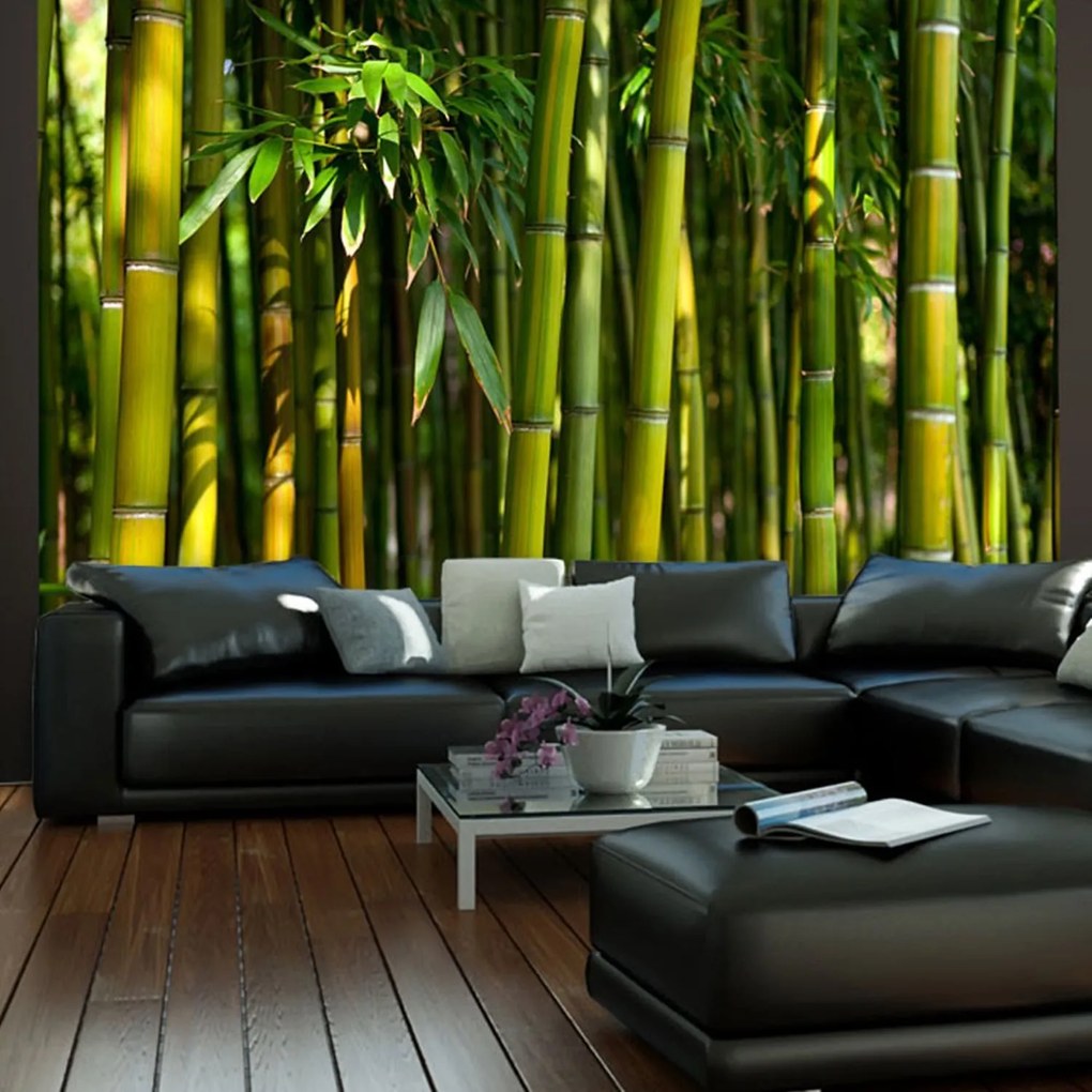 Φωτοταπετσαρία - Asian bamboo forest 200x154