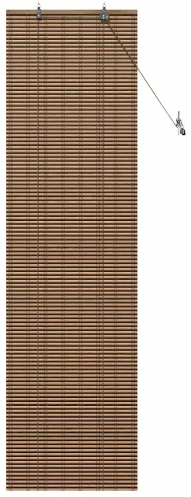 vidaXL Ρολό Παραθύρου με κουρτίνες Καφέ 60 x 220 εκ. Μπαμπού