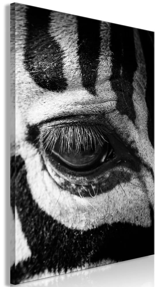 Πίνακας - Zebra Eye (1 Part) Vertical - 40x60