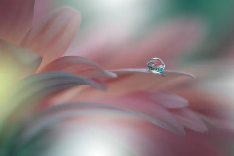 Φωτογραφία Sunbeam..II, Juliana Nan