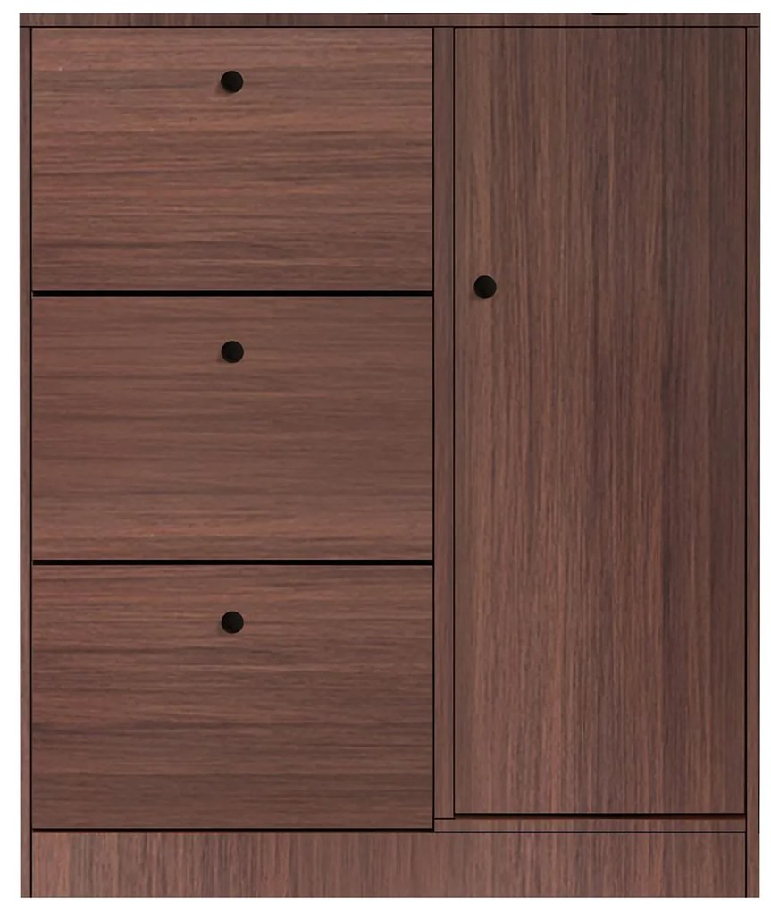 Παπουτσοθήκη Απόχρωση Καρυδί 100x24x112cm