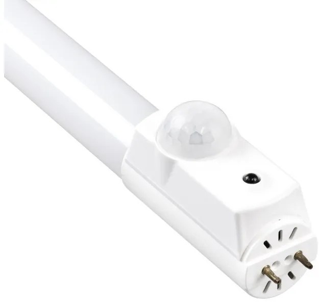 Λάμπα Φθορίου T8 G13 120cm 16W 6000K Dimmable Λευκό 61499 Globostar-61499-Λευκό 61499