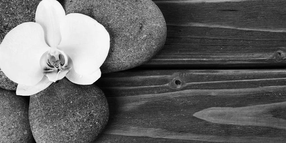 Εικόνα με πέτρες σπα και ορχιδέα σε ξύλινο φόντο σε ασπρόμαυρο σχέδιο - 100x50