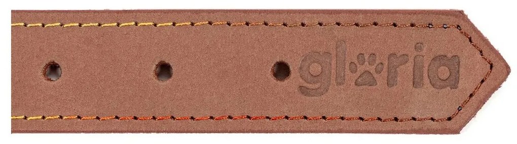 Κολλάρο Σκύλου Gloria Oasis Καφέ (1,2 x 35 cm)