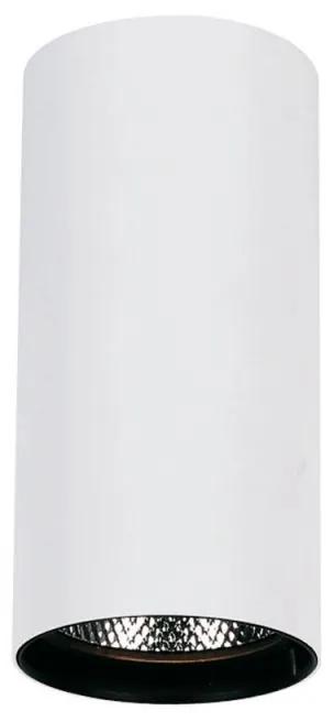 Οροφής Λευκό Nestor - Κεραμικό - 4214400