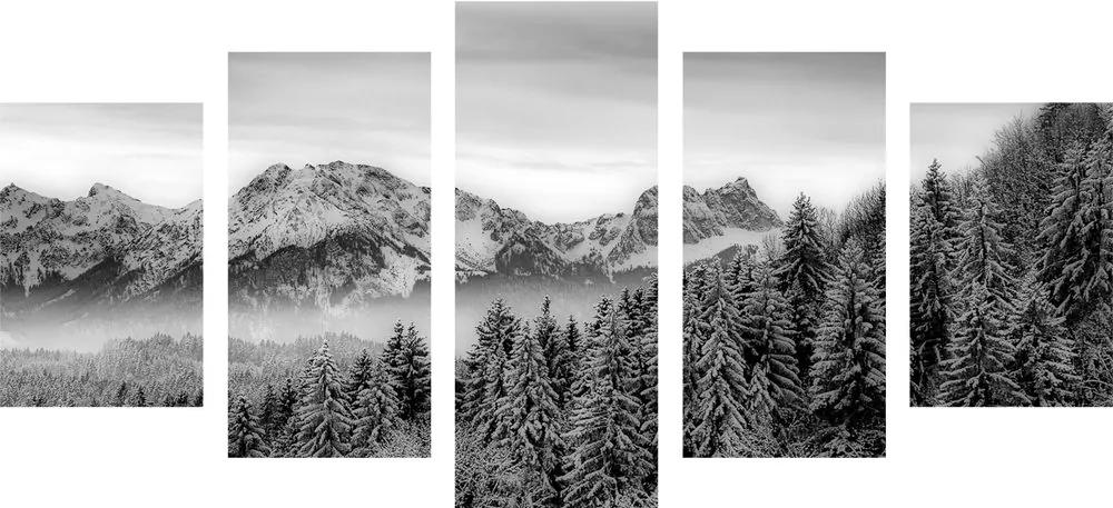 Εικόνα 5 τμημάτων παγωμένα βουνά σε μαύρο & άσπρο - 100x50