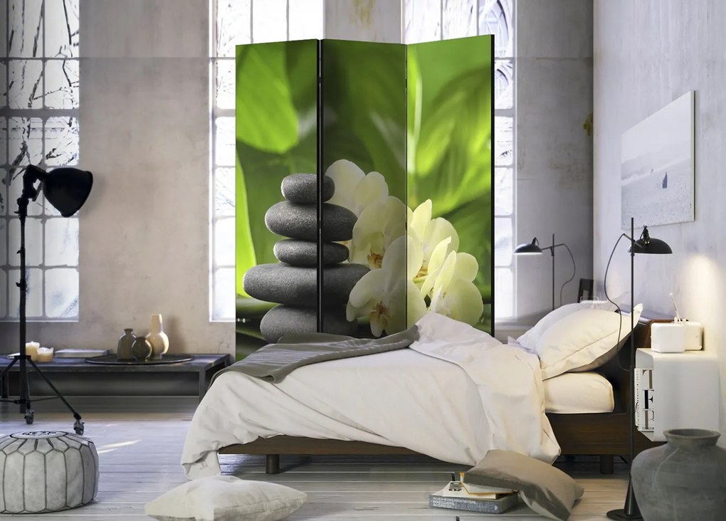 Διαχωριστικό με 3 τμήματα - Spa Garden [Room Dividers] 135x172