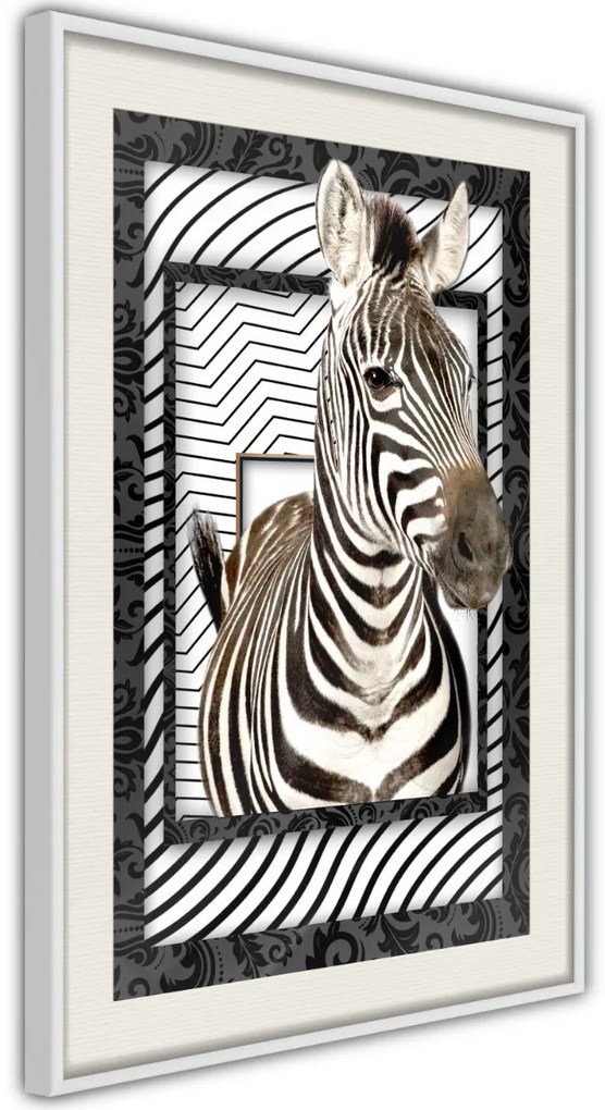 Αφίσα - Zebra in the Frame - 20x30 - Μαύρο - Χωρίς πασπαρτού