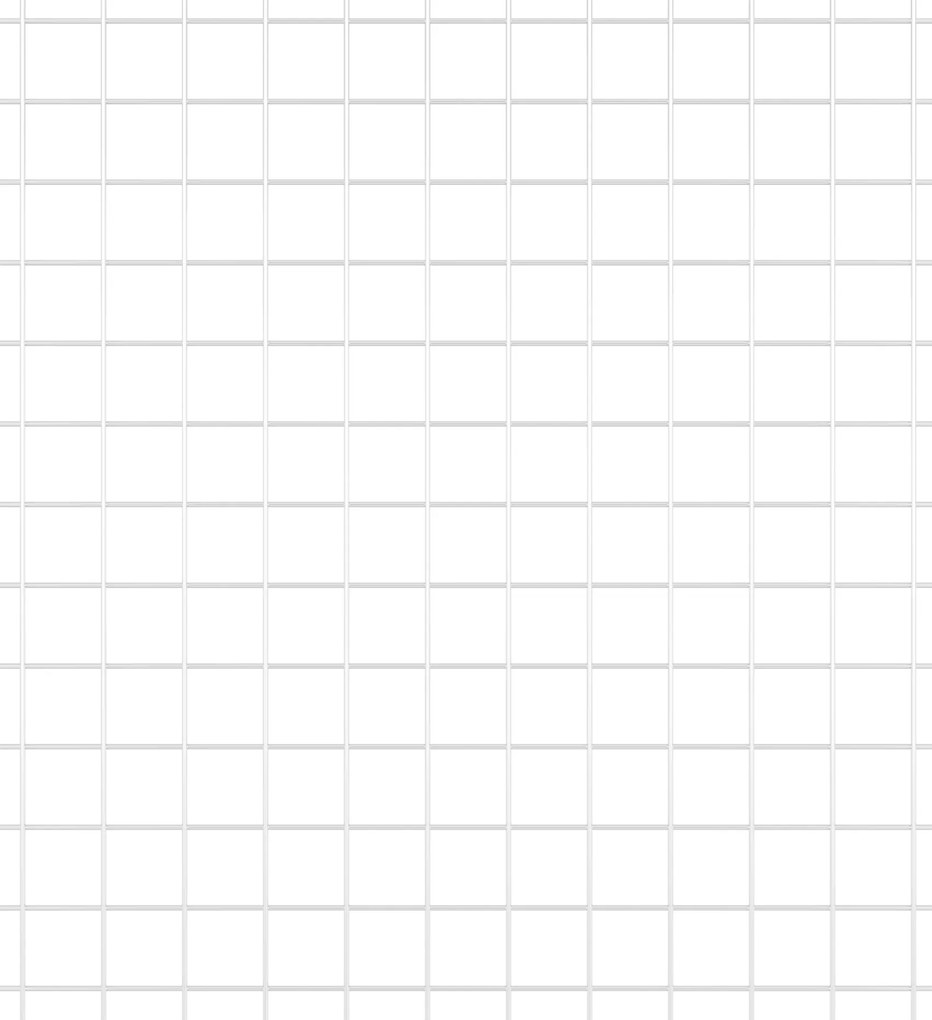 vidaXL Γαλβανισμένος Σιδερένιος Φράκτης 0,8x25 μ Γαλβανισμένο Σίδερο