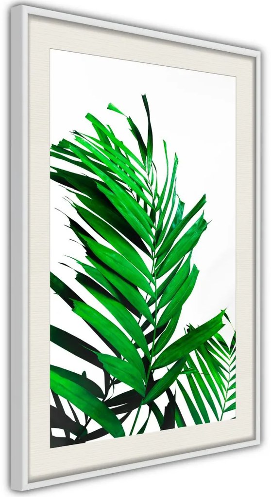 Αφίσα - Emerald Palm - 20x30 - Χρυσό - Χωρίς πασπαρτού