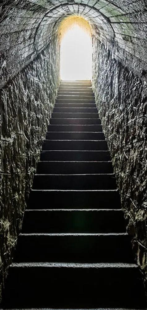 Φωτοταπετσαρία Secret Hallway - 80x210