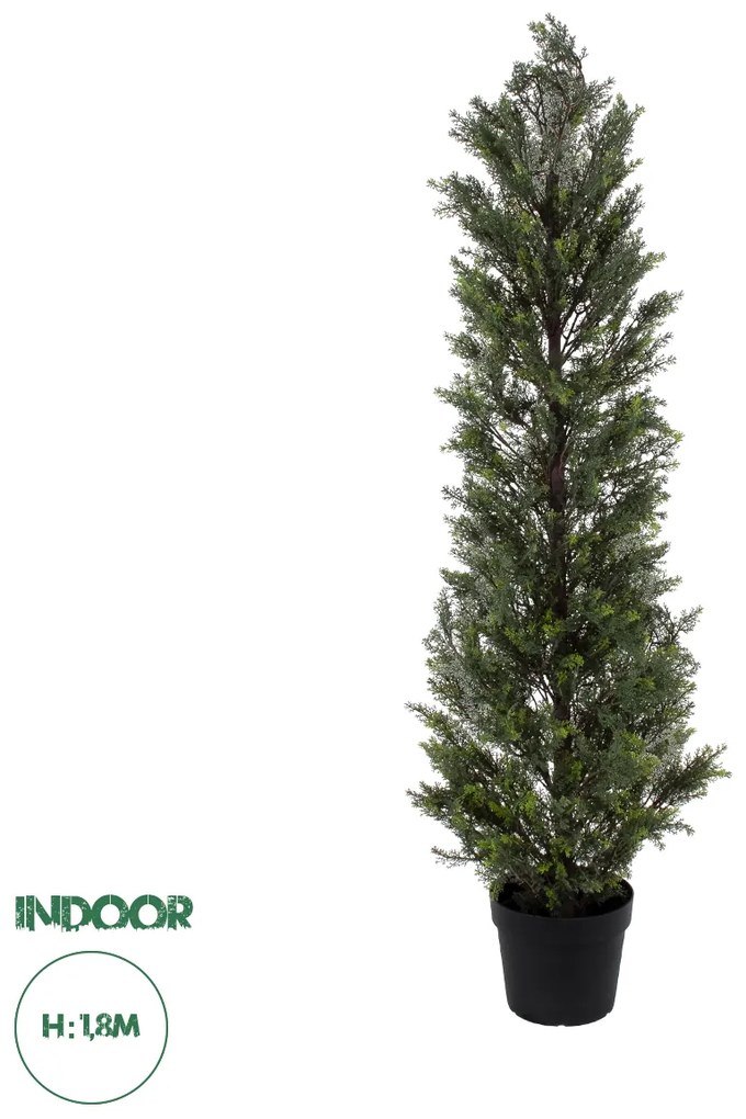 20153 GloboStar®  Artificial Garden LEMON CYPRESS 20153 Τεχνητό Διακοσμητικό Φυτό Λεμονόκυπάρισσο Υ180cm
