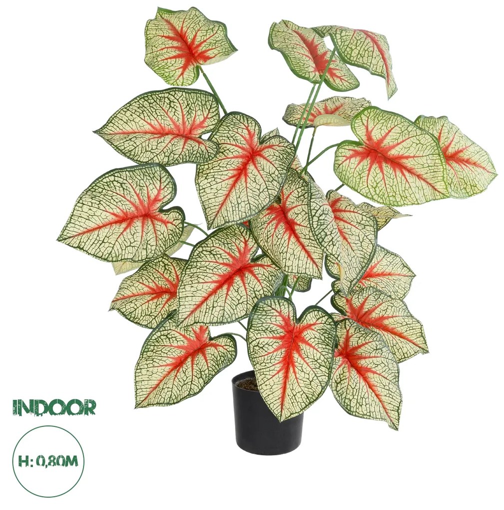 GloboStar® Artificial Garden CALADIUM 20921 Διακοσμητικό Φυτό Καλάντιουμ Υ80cm