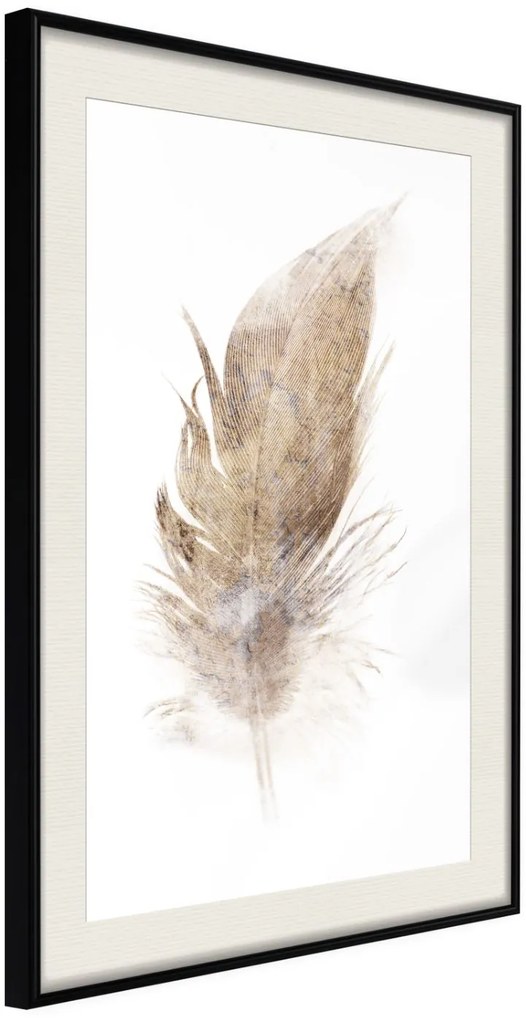 Αφίσα - Lost Feather (Beige) - 20x30 - Μαύρο - Με πασπαρτού