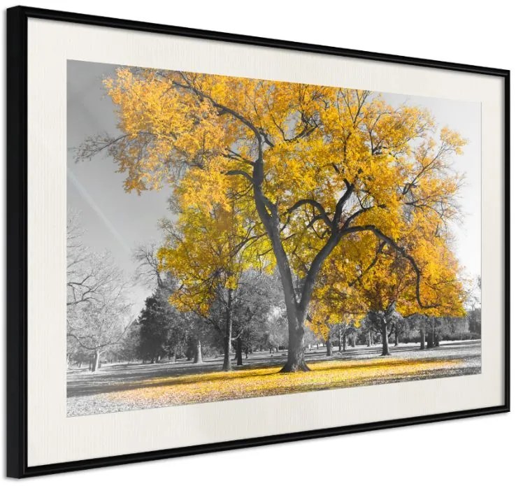 Αφίσα - Golden Tree - 60x40 - Μαύρο - Με πασπαρτού