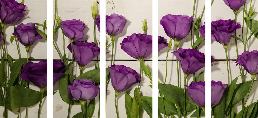 Εικόνα 5 τμημάτων υπέροχα μωβ λουλούδια
