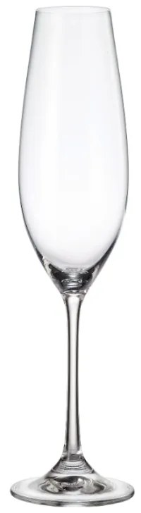 Ποτήρι Σαμπάνιας 260ml Columba - Crystal Bohemia - 6 ΤΜΧ