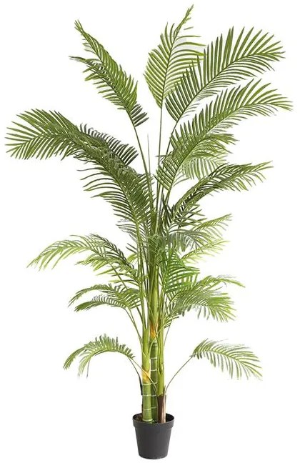 PALM TREE  NP5500_240_22 ΥΨΟΣ 240cm NewPlan