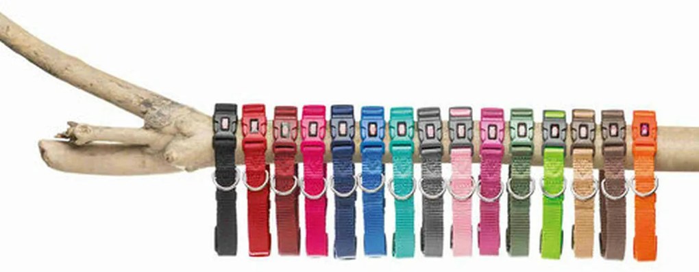 Κολλάρο Σκύλου Trixie New Premium Μπλε Κοβαλτίου XS/S 22-35 cm