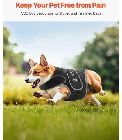 VEVOR Dog Back Brace Adjustable Dog Spine Support Harness for IVDD Pain Relief