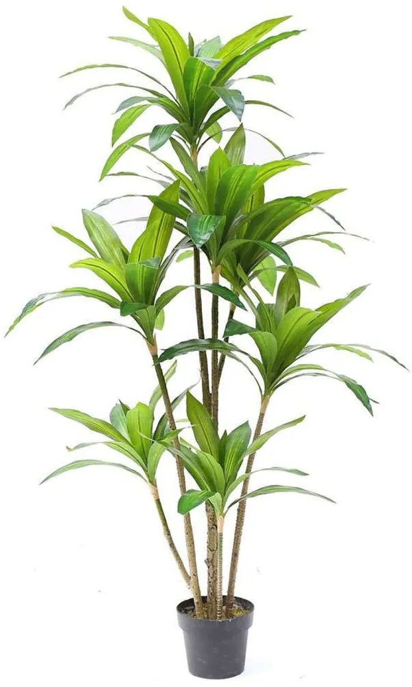Τεχνητό Δέντρο Δράκαινα 6180-6 80x170cm Green Supergreens Polyethylene
