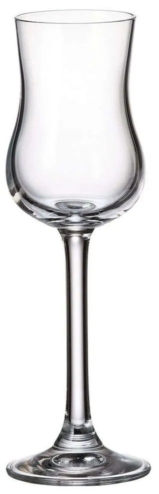 Ποτήρι Λικέρ-Ούζου Κολωνάτο Colibri CTB03202008 85ml Κρυστάλλινο Clear Βοημίας Crystal