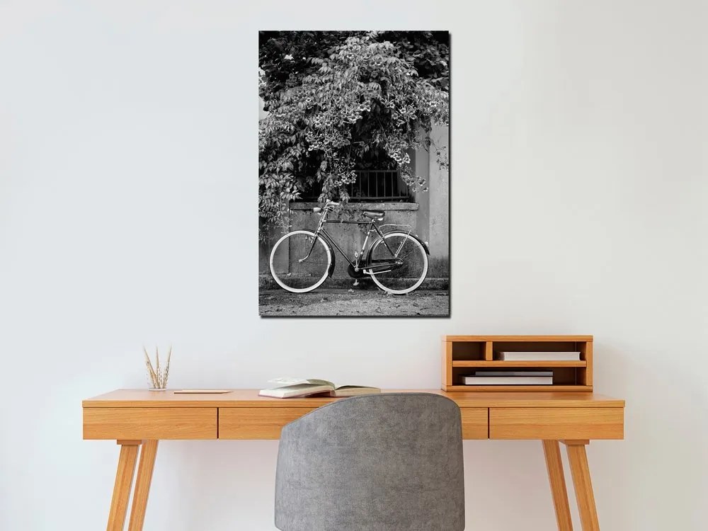 Πίνακας - Bicycle and Flowers (1 Part) Vertical - 40x60