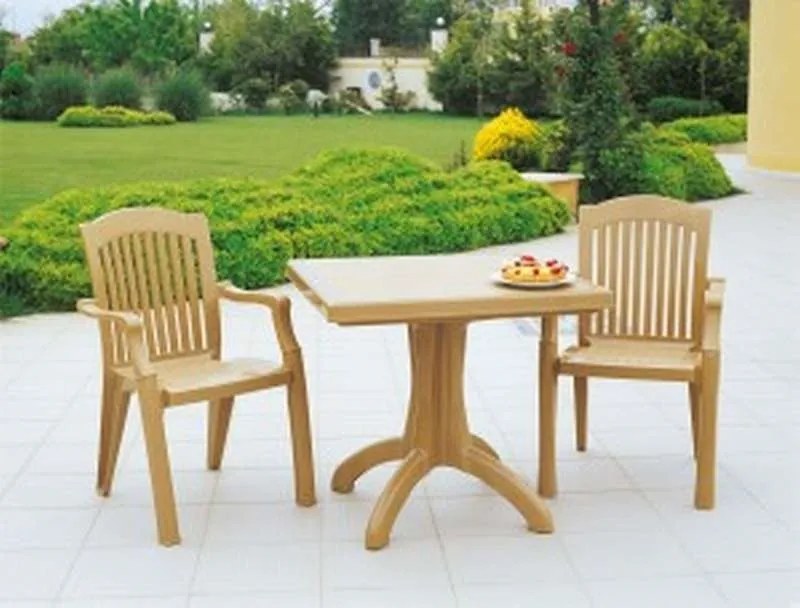 ΚΑΡΕΚΛΑ ΠΛΑΣΤΙΚΗ SKG STAR TEAK