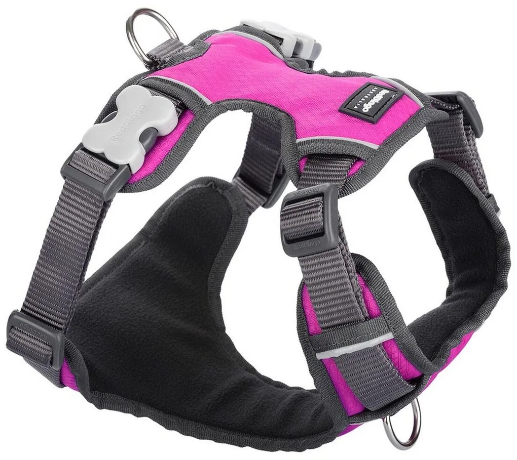 Λουρί Σκύλου Red Dingo Γεμισμένο Φούξια Μέγεθος XS