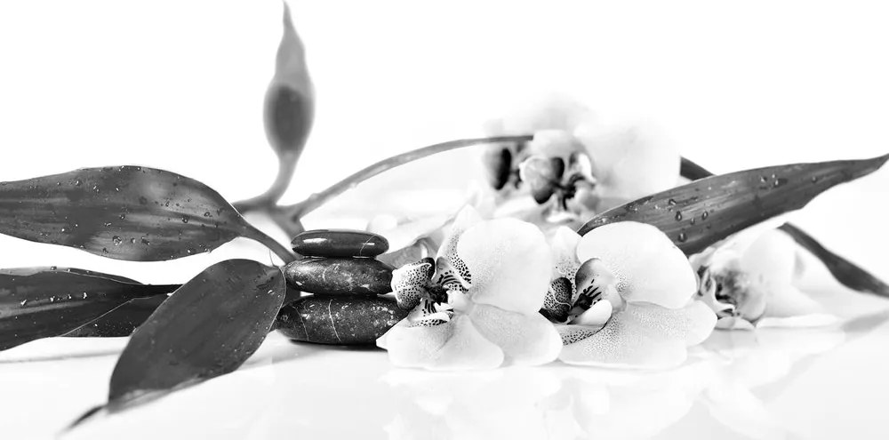 Εικόνα νεκρής φύσης με πέτρες Ζεν σε μαύρο & άσπρο - 100x50
