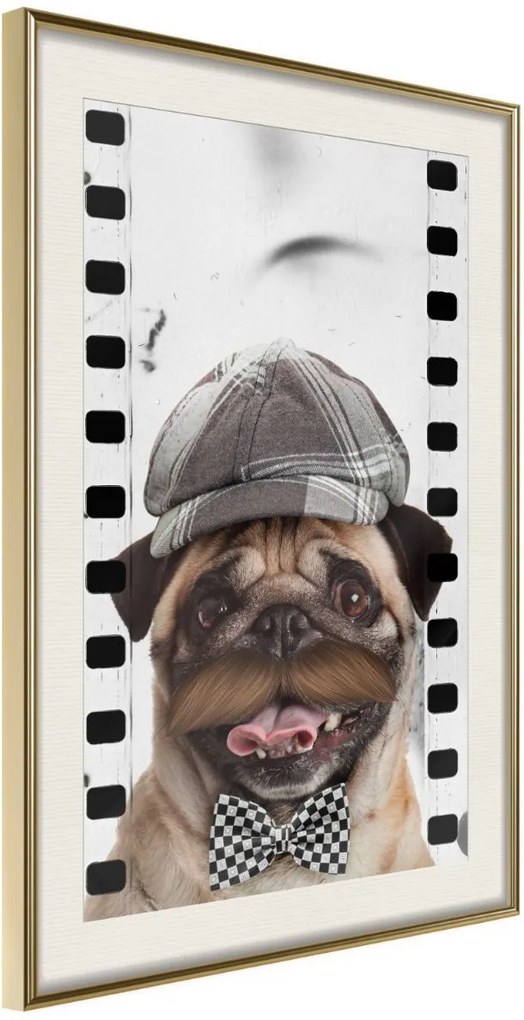 Αφίσα - Dressed Up Pug - 30x45 - Χρυσό - Με πασπαρτού