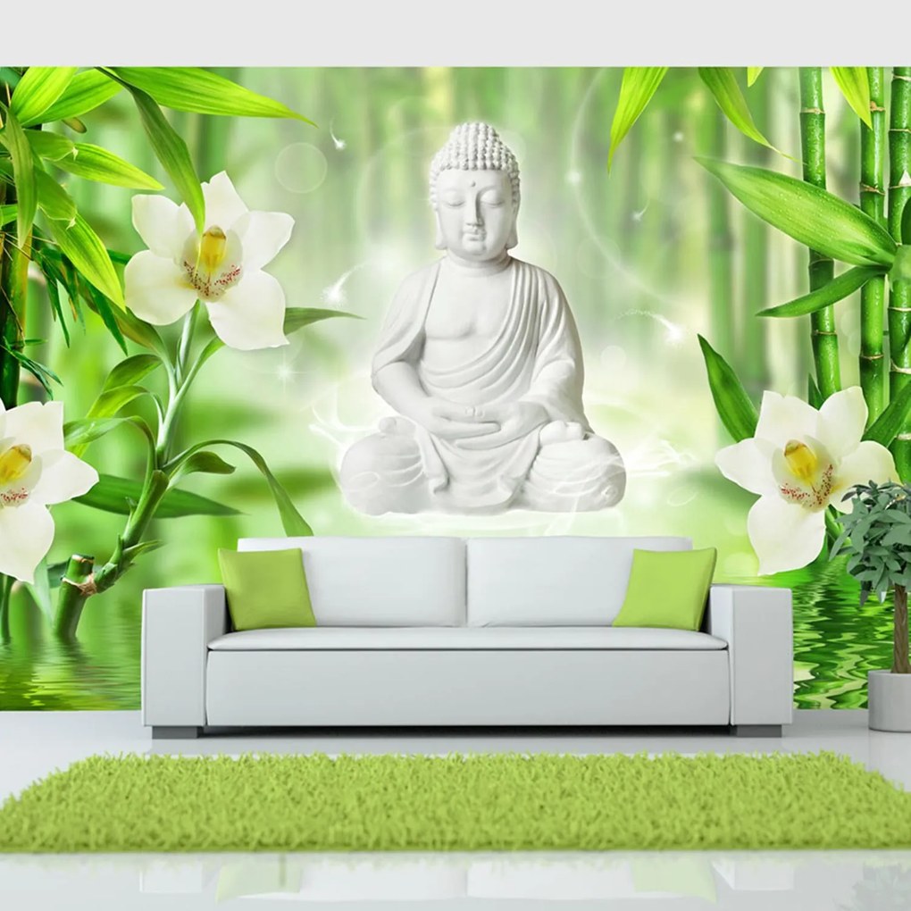 Φωτοταπετσαρία - Buddha and nature 400x280