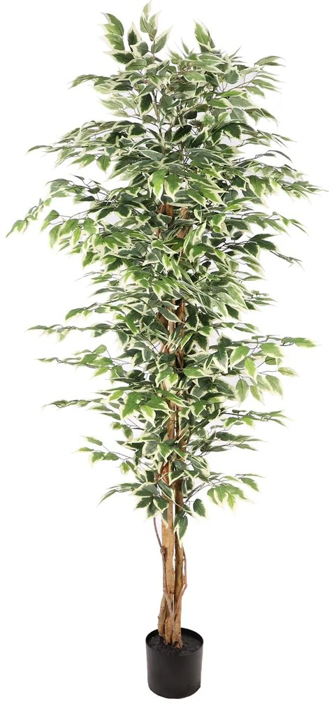 Supergreens Τεχνητό Δέντρο Φίκος \&quot;Benjamina Variegata\&quot; Πράσινο 180 εκ. - 4801-6