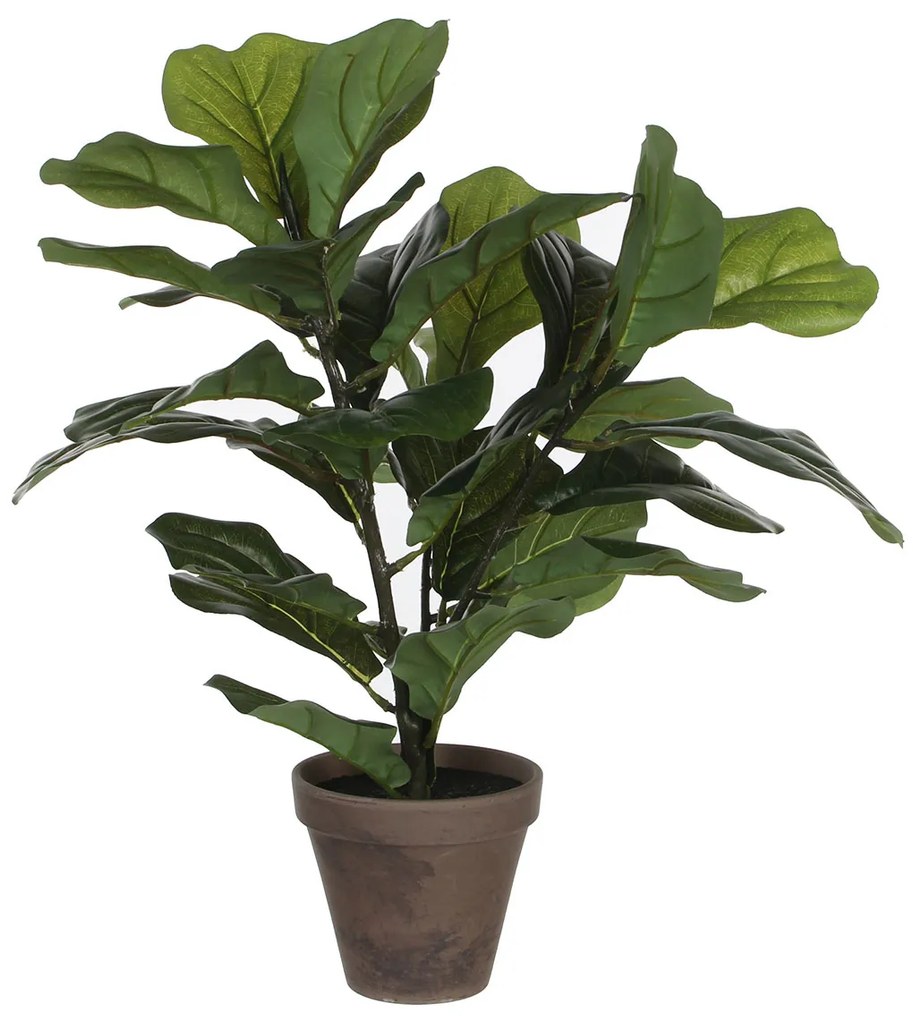 Τεχνητό Φυτό Σε Γλάστρα 35εκ. Edelman Ficus Lyrata 930693